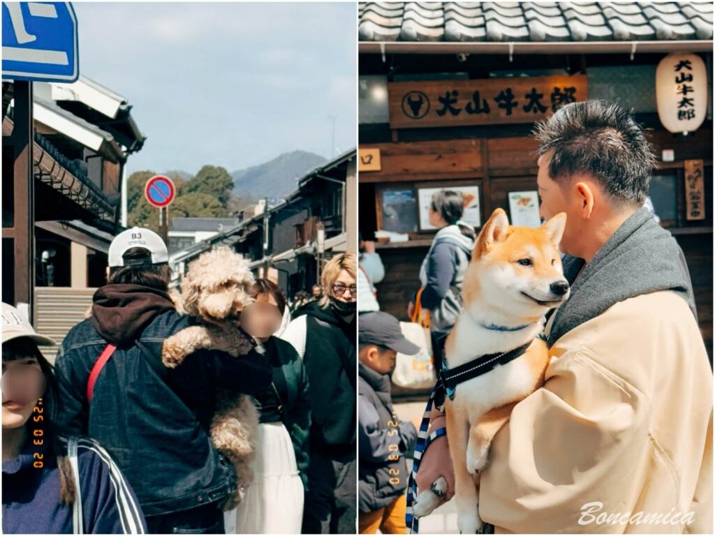 犬山城下町商店街的狗狗們