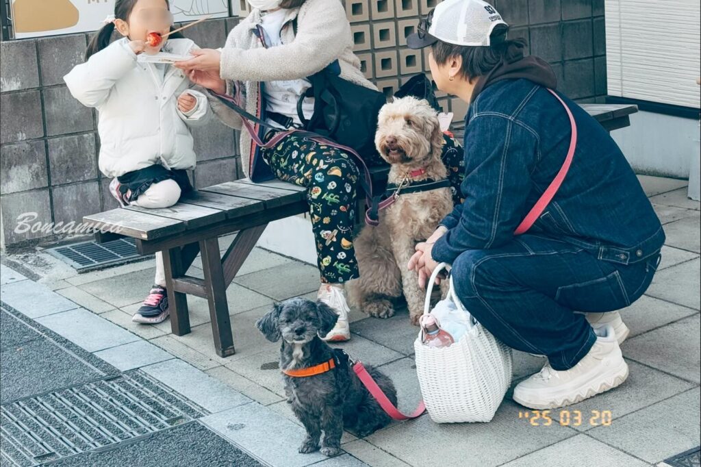 犬山城下町商店街遊客與狗狗