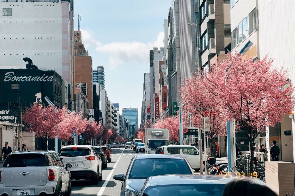 名古屋榮商圈櫻花街景