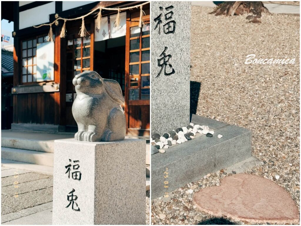 名古屋三輪神社福兔