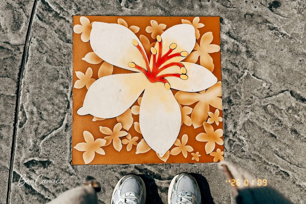 橋面地板方磚上的雞蛋花圖案