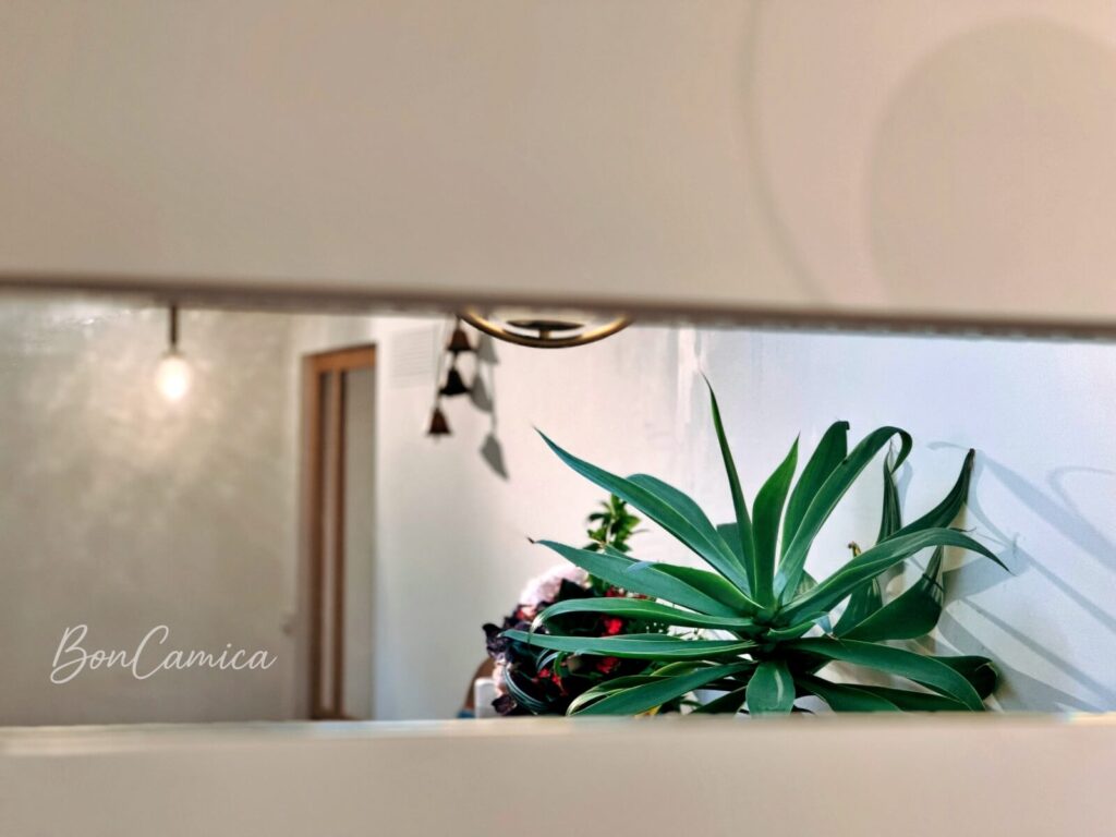 室內用餐區的鏡子反射風景