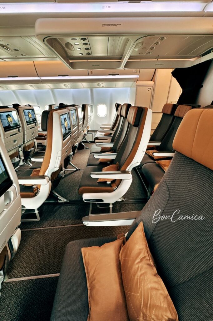 星宇航空機艙內部空盪盪座位