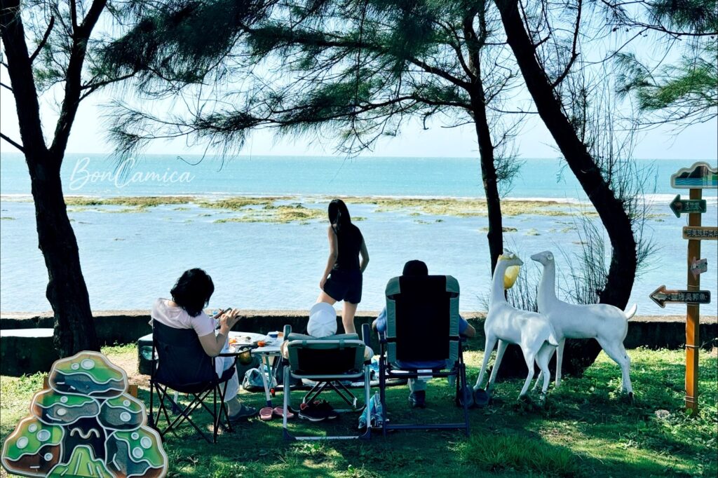 淺水灣海岸邊，一家人在草皮上休憩