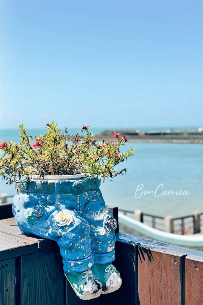 木質檯面上的牛仔褲花盆與海景背景