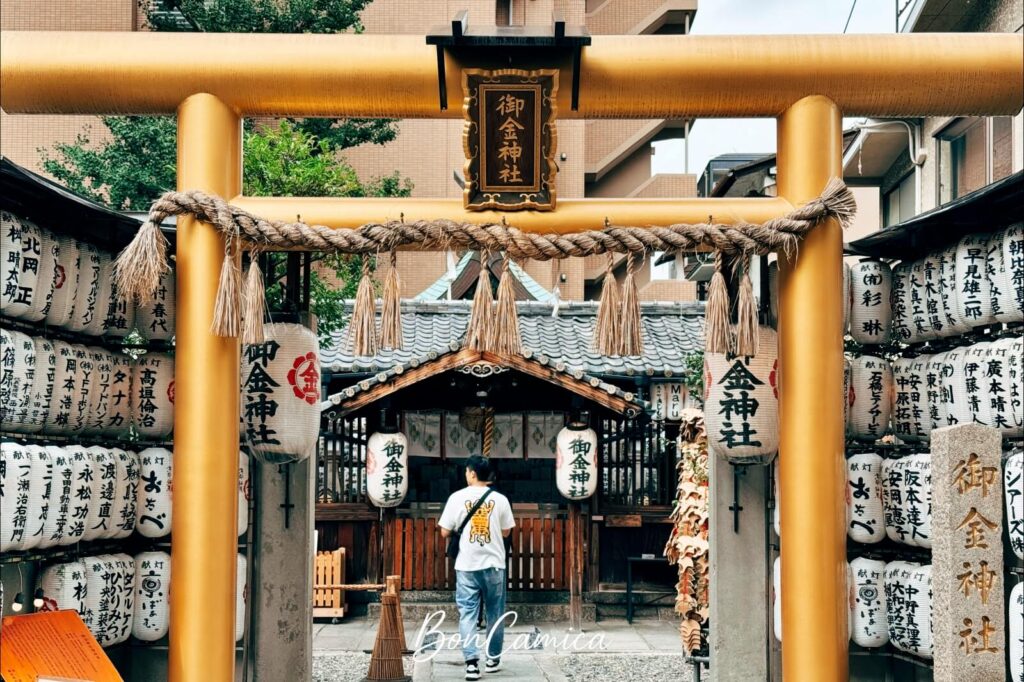 京都御金神社標誌性的金色鳥居與兩側白色燈籠