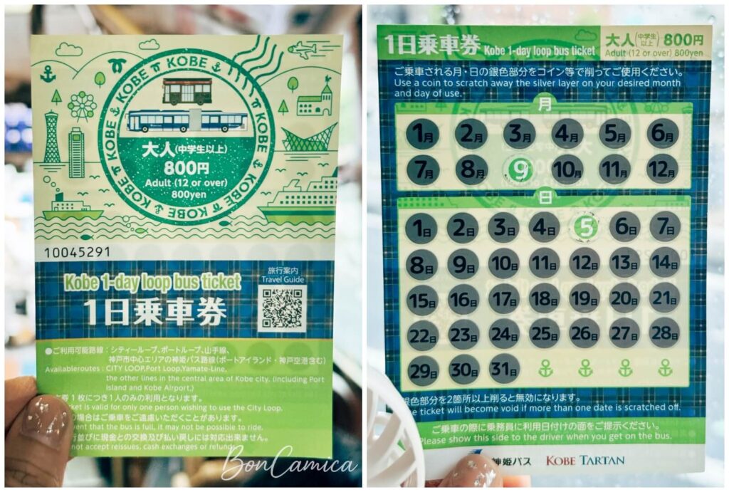 City Loop 巴士一日乘車券正反面